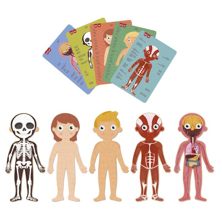 Puzzle Apli Cuerpo Humano 240 Piezas