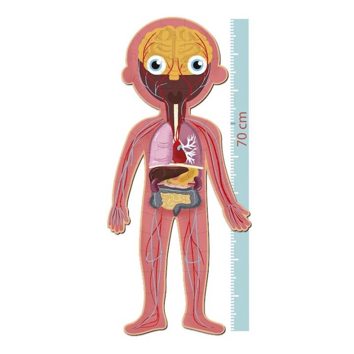 Puzzle Apli Cuerpo Humano 240 Piezas