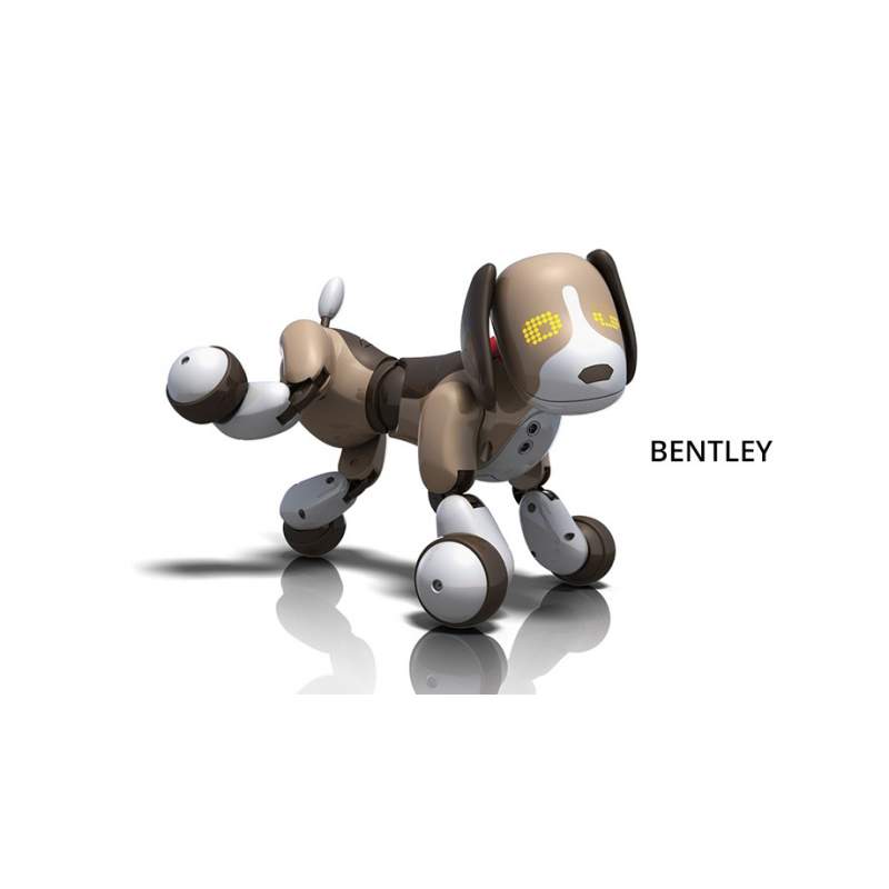 2.0 Perro Robot Bentley