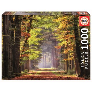 Puzzle 1000 Piezas Paseo Otoñal