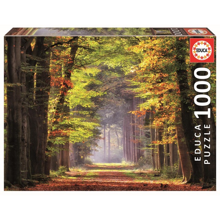 Puzzle 1000 Piezas Paseo Otoñal
