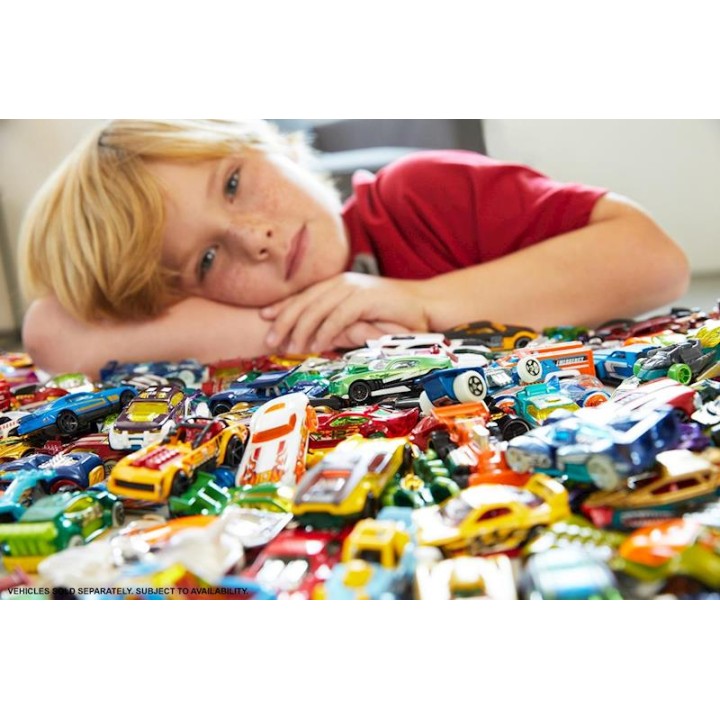Coches Surtidos Hotwheels