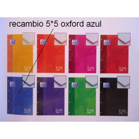 RECAMBIO ENRI OXFORD SCHOOL EUROPEAN A-4 80H 5*5 AZUL 121600014